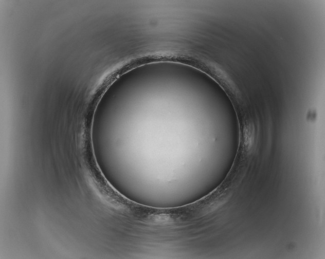 X0000115620588200911101417