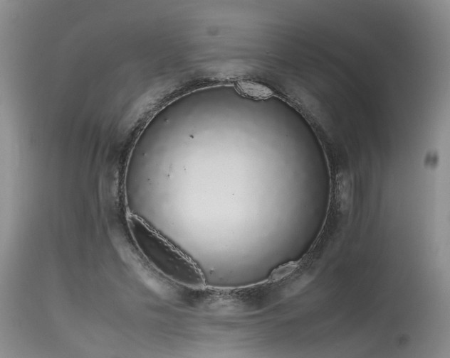 X0000115620589200911101417