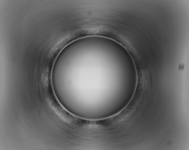 X0000115620590200911101417