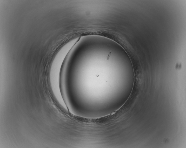 X0000115620593200911101417