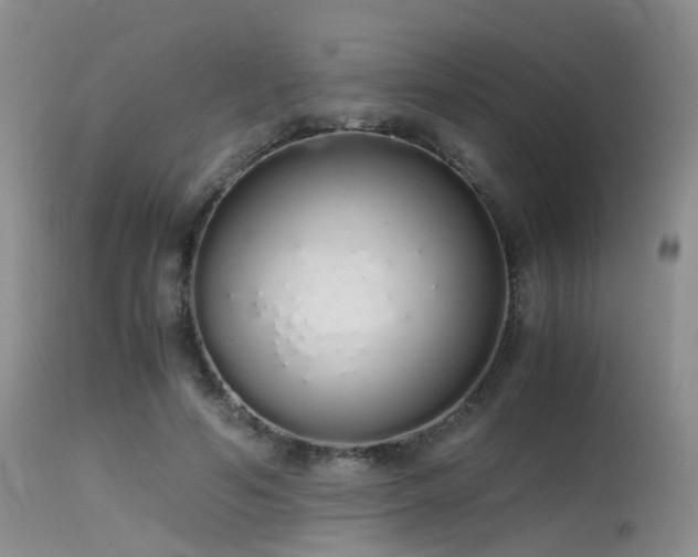 X0000115620594200911101417