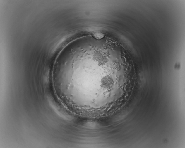 X0000115620596200911101417