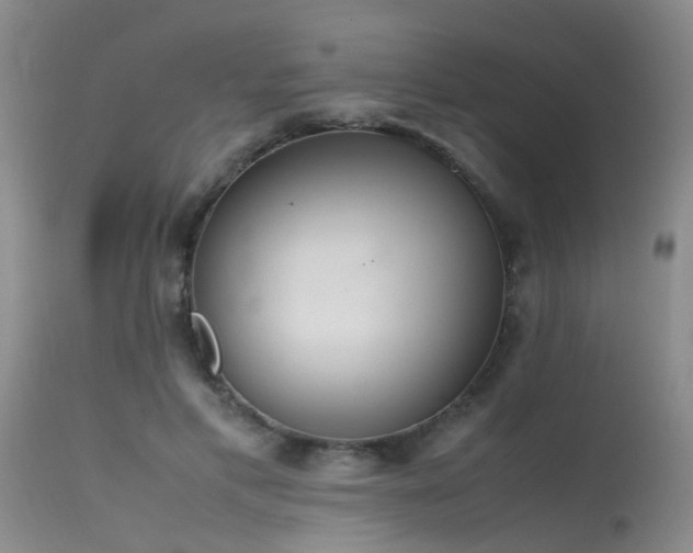 X0000115620597200911101417