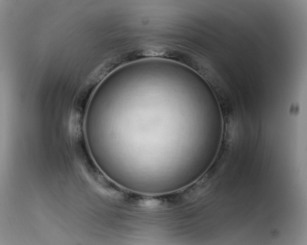 X0000115620598200911101417