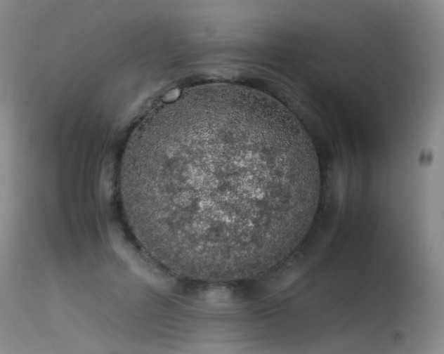 X0000115620600200911101417