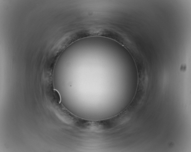 X0000115620601200911101417