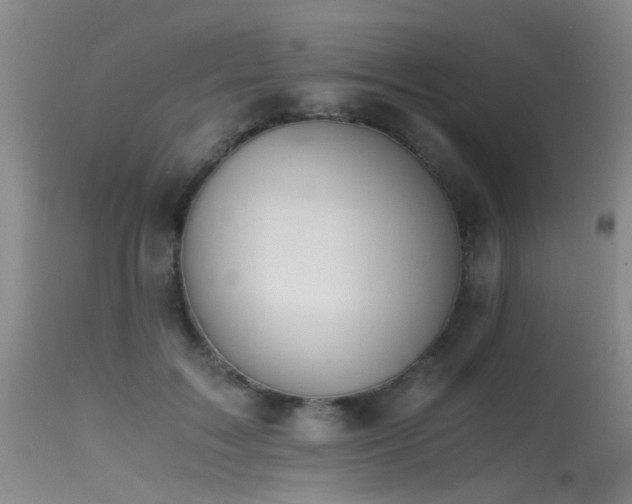 X0000115620603200911101417