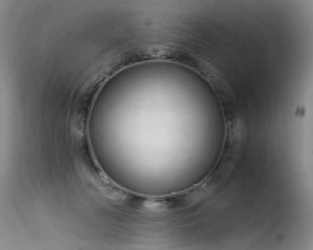 X0000115620606200911101417