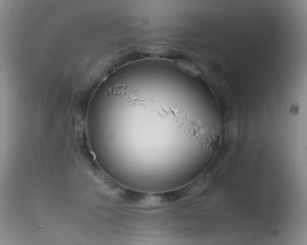 X0000115620609200911101417