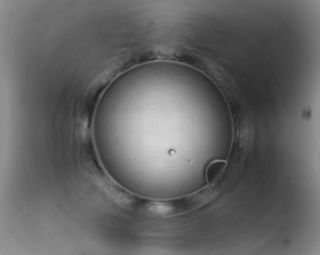 X0000115620610200911101417