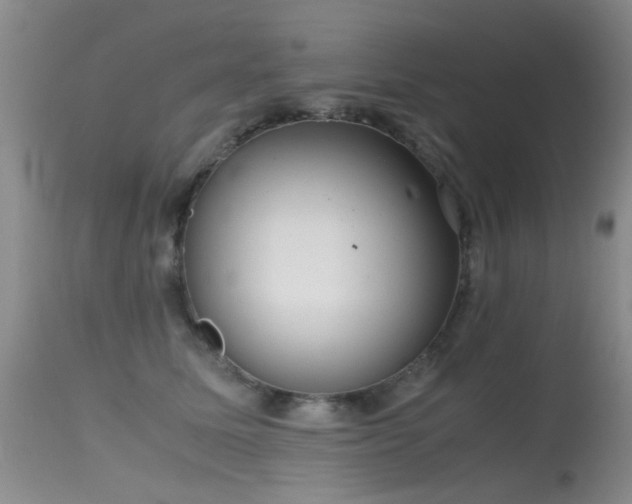 X0000115620611200911101417