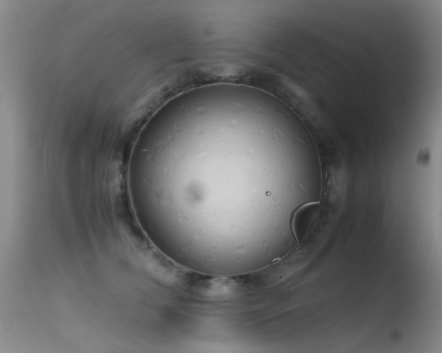 X0000115620612200911101417