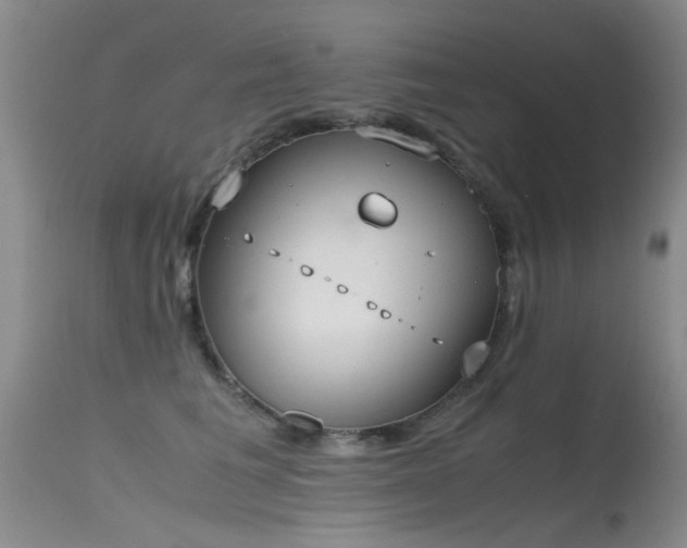 X0000115620613200911101417