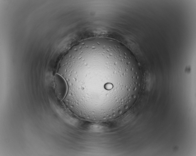 X0000115620614200911101417