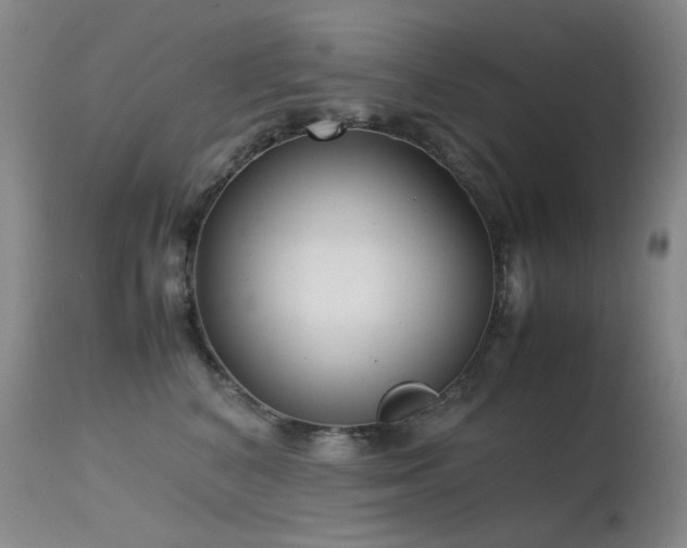 X0000115620616200911101417