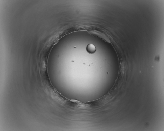 X0000115620617200911101417