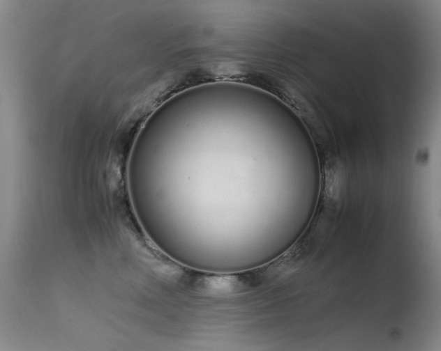 X0000115620618200911101417