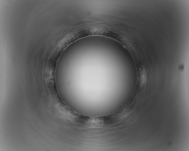 X0000115620619200911101417