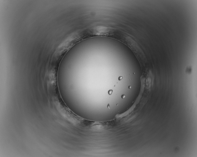 X0000115620620200911101417