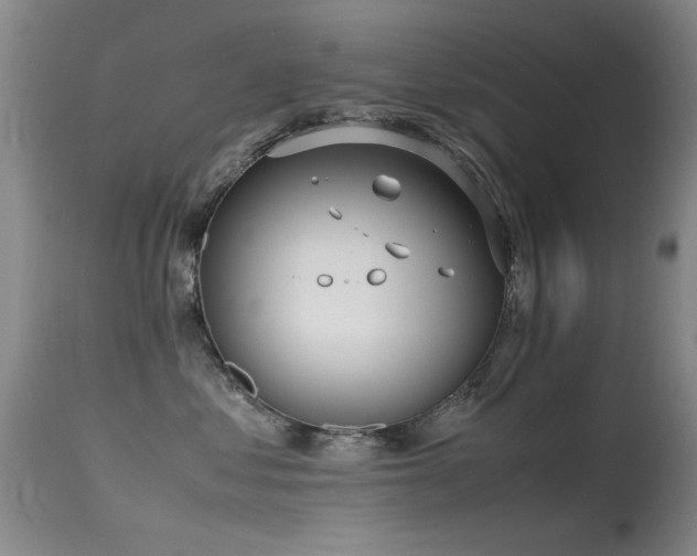 X0000115620621200911101417