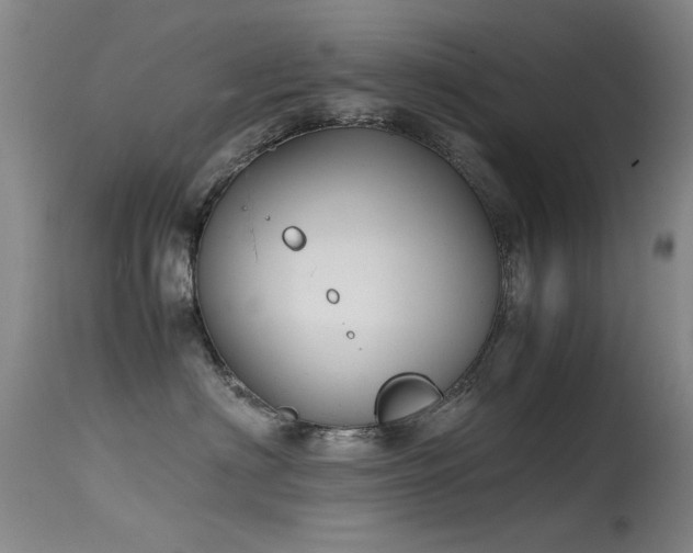 X0000115620622200911101417