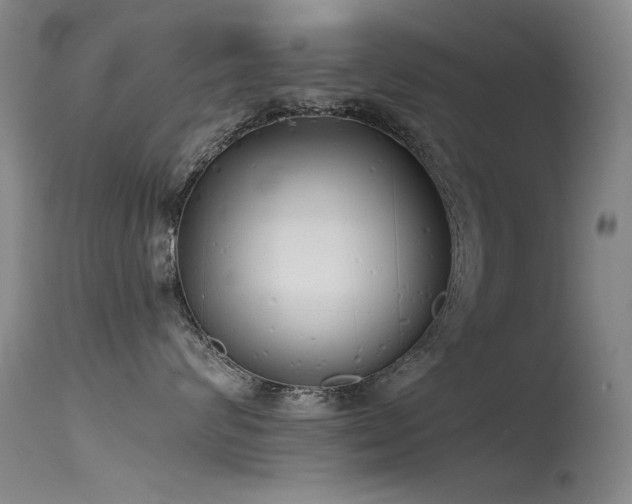 X0000115620624200911101417