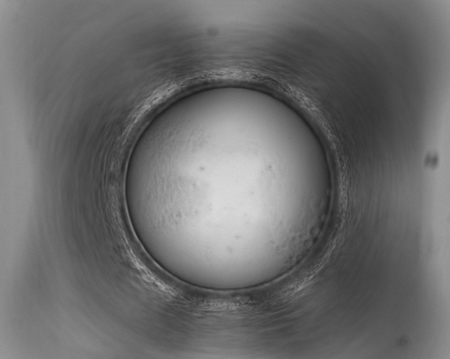 X0000115620625200911101416