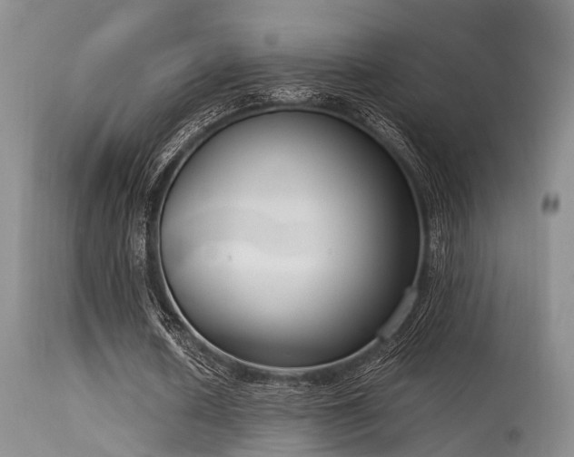 X0000115620626200911101416