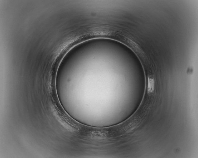 X0000115620627200911101416