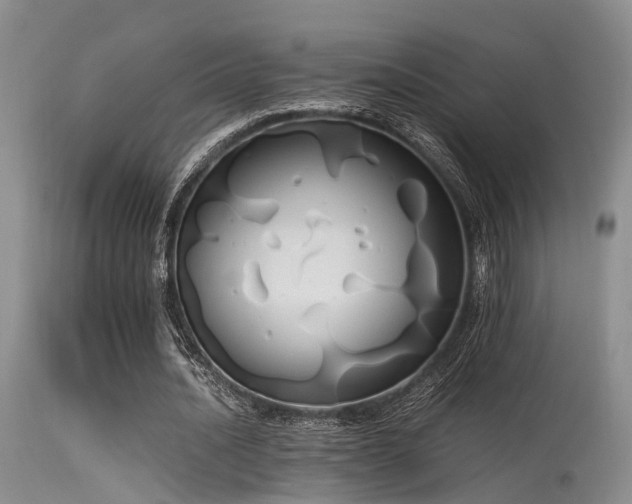 X0000115620628200911101416