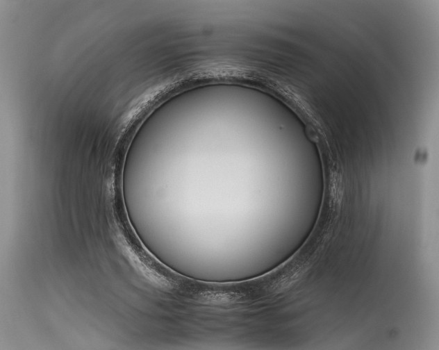 X0000115620629200911101416