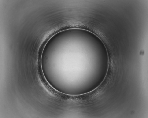 X0000115620630200911101416