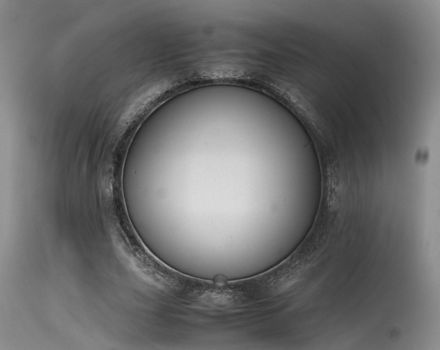 X0000115620631200911101416