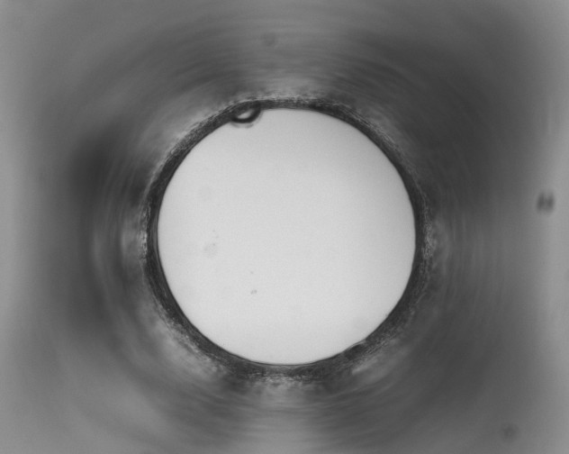 X0000115620632200911101416