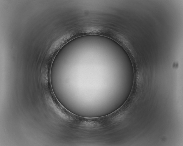 X0000115620633200911101416