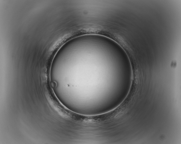 X0000115620634200911101416