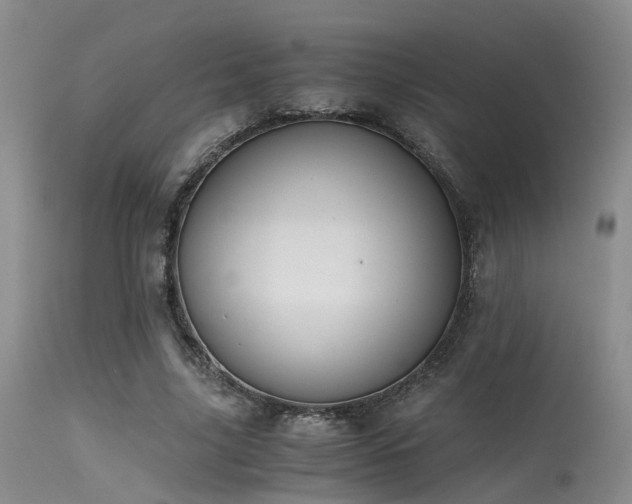 X0000115620635200911101416