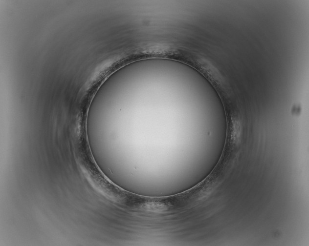 X0000115620636200911101416