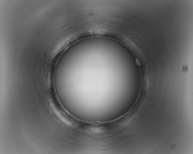 X0000115620638200911101416