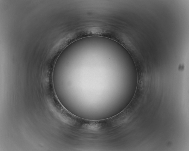 X0000115620639200911101416