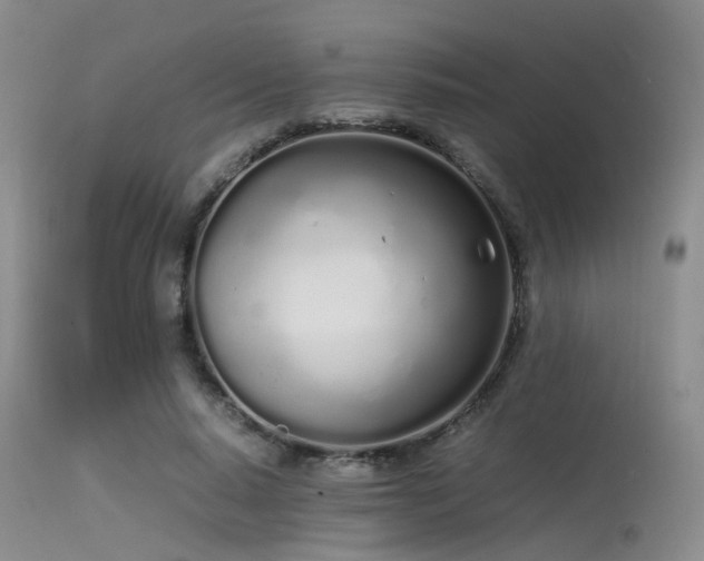 X0000115620640200911101416