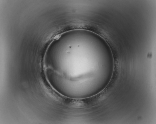 X0000115620642200911101416