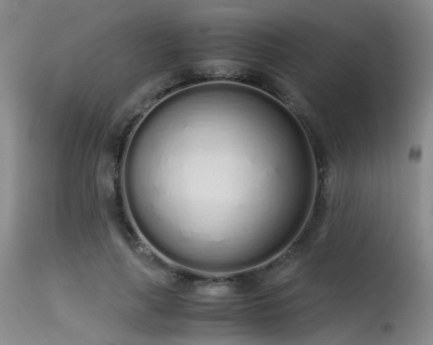 X0000115620643200911101416