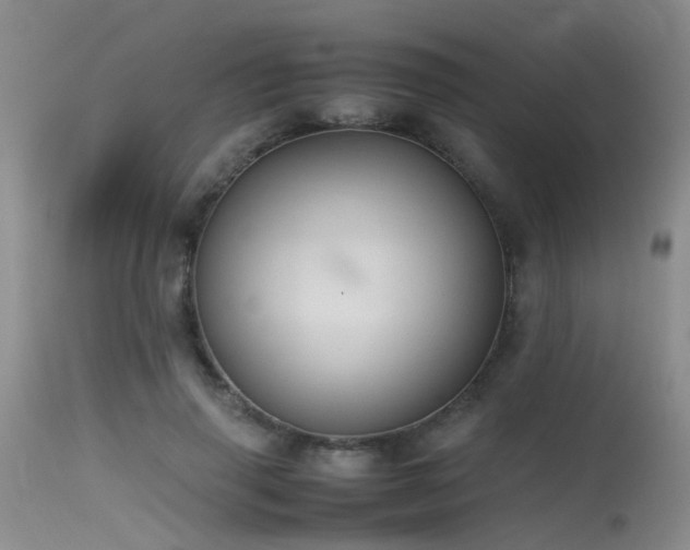 X0000115620645200911101416