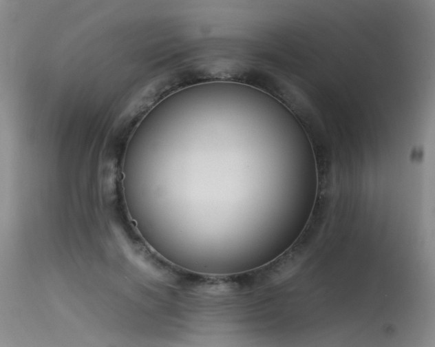 X0000115620646200911101416