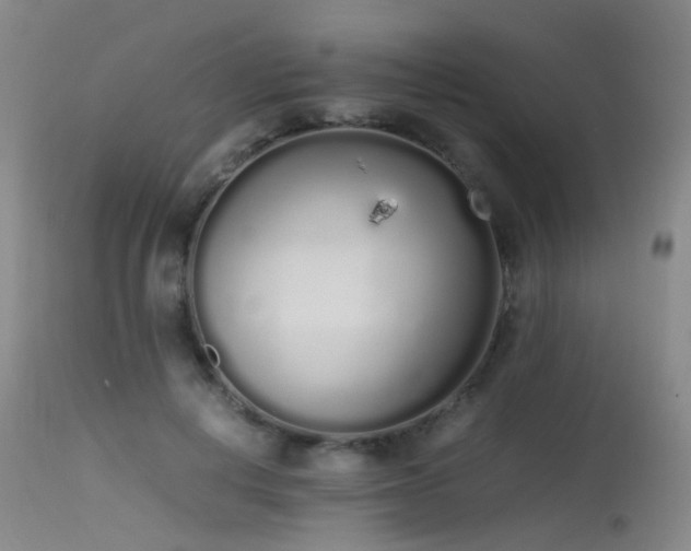 X0000115620648200911101416