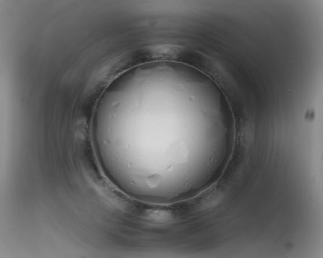 X0000115620649200911101416