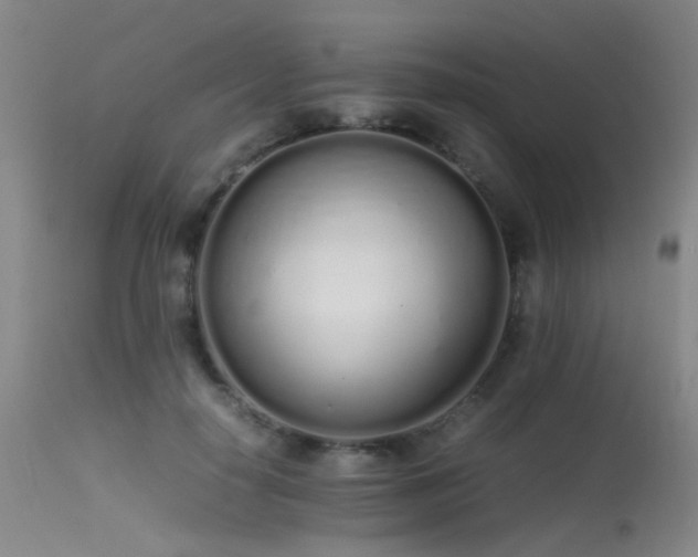 X0000115620650200911101416