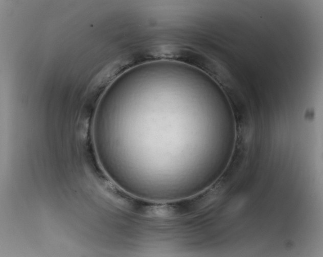 X0000115620652200911101416