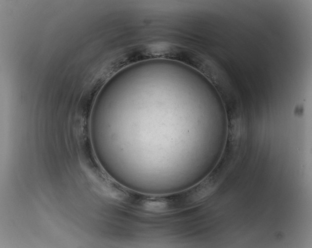 X0000115620653200911101416